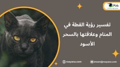 تفسير رؤية القطة في المنام