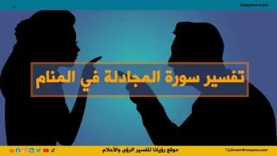 تفسير سورة المجادلة في المنام وبعض آياتها تفسير حلم سورة المجادلة في المنام