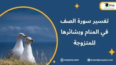 تفسير سورة الصف في المنام وبشائرها للمتزوجة تفسير حلم سورة الصف في المنام