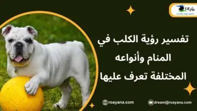 تفسير رؤية الكلب في المنام وأنواعه المختلفة تعرف عليها تفسير حلم الكلب في المنام