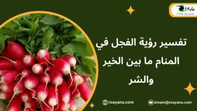 تفسير رؤية الفجل في المنام ما بين الخير والشر تفسير حلم الفجل في المنام
