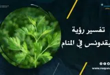 تفسير حلم البقدونس في المنام