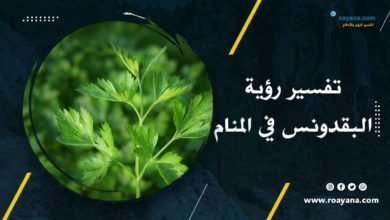 تفسير رؤية البقدونس في المنام وعلاقته بالرزق والصحة تفسير حلم البقدونس في المنام