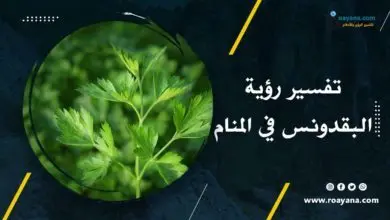 تفسير حلم البقدونس في المنام