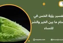 تفسير رؤية الخس في المنام ما بين الخير والشر للنساء تفسير حلم الخس في المنام