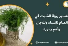 تفسير حلم الشبت في المنام