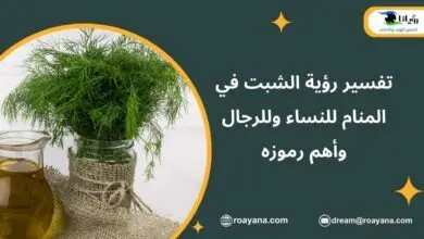 تفسير حلم الشبت في المنام