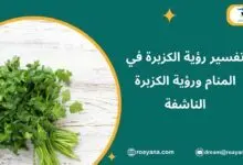 تفسير حلم الكزبرة في المنام