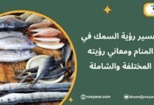 تفسير حلم السمك في المنام