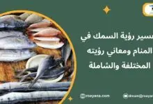 تفسير رؤية السمك في المنام ومعاني رؤيته المختلفة والشاملة تفسير حلم السمك في المنام