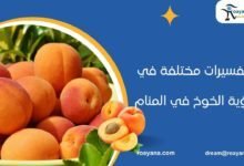 تفسير رؤية الخوخ في المنام للمتزوجة
