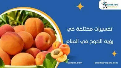 تفسير حلم الخوخ في المنام مال وزوجة وولد تفسير رؤية الخوخ في المنام للمتزوجة