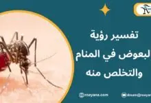 تفسير حلم البعوض في المنام