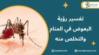 تفسير حلم البعوض في المنام والتخلص منه تفسير حلم البعوض في المنام