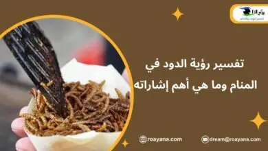 تفسير حلم الدود في المنام