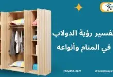 ما هو تفسير الدولاب في المنام