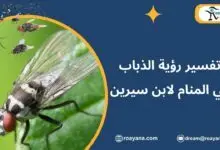 تفسير حلم الذباب في المنام