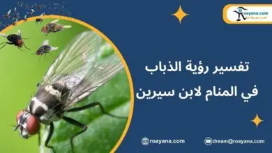 تفسير حلم الذباب في المنام