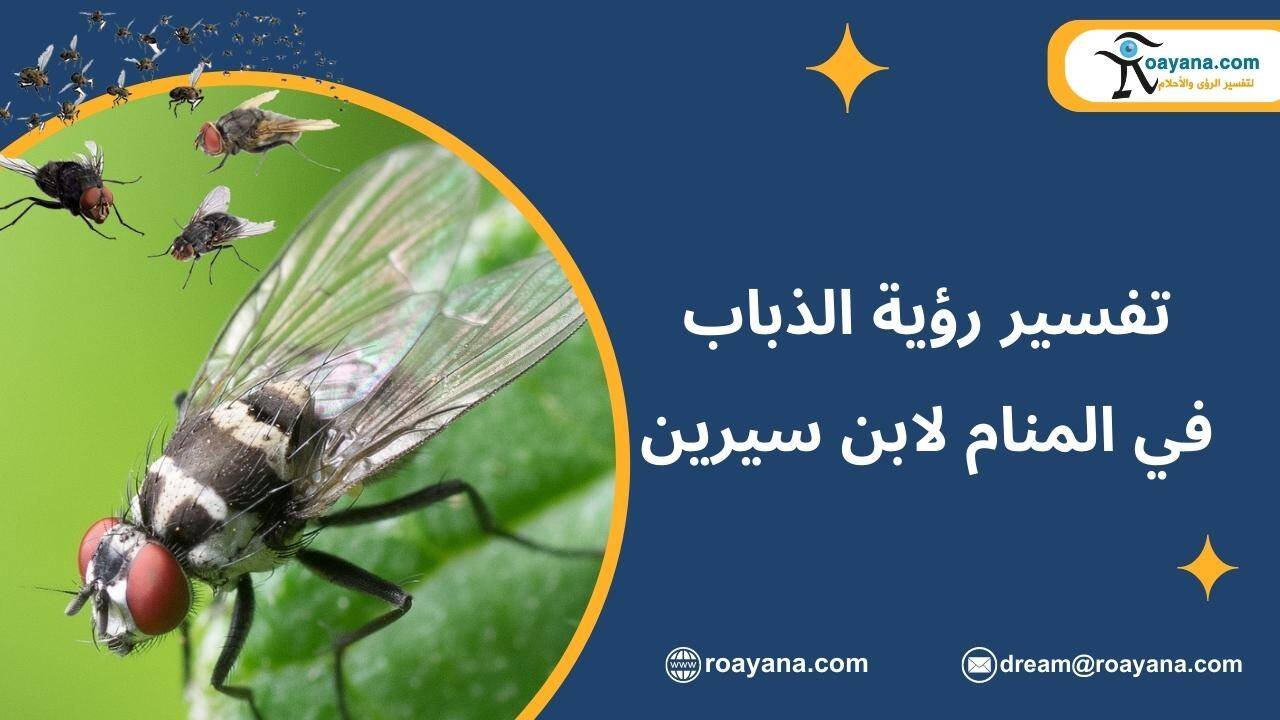 تفسير رؤية الذباب في المنام لابن سيرين وجميع تأويلاته تفسير حلم الذباب في المنام