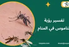 تفسير حلم الناموس في المنام