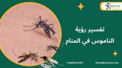 تفسير حلم الناموس في المنام بجميع رموزه وتأويلاته تفسير حلم الناموس في المنام