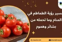 تفسير حلم الطماطم في المنام