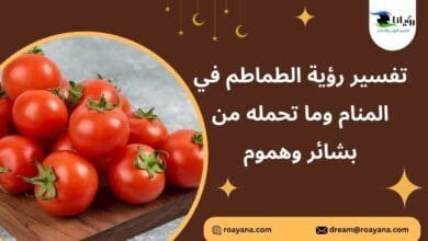 تفسير رؤية الطماطم في المنام وما تحمله من بشائر وهموم تفسير حلم الطماطم في المنام