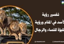 تفسير رؤية الأسد في المنام