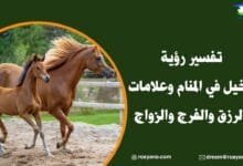 تفسير رؤية الخيل في المنام وعلامات الرزق والفرج والزواج تفسر رؤية الخيل في المنام