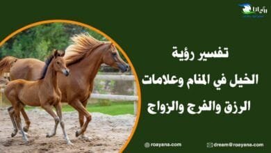 تفسر رؤية الخيل في المنام