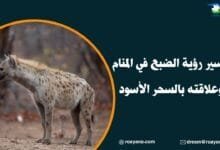 تفسير رؤية الضبع في المنام