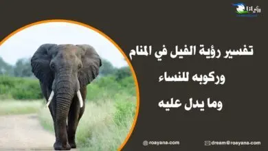 تفسير رؤية الفيل في المنام وركوبه للنساء وما يدل عليه تفسير رؤية الفيل في المنام