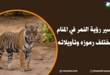 تفسير رؤية النمر في المنام