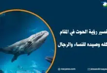 تفسير رؤية الحوت في المنام