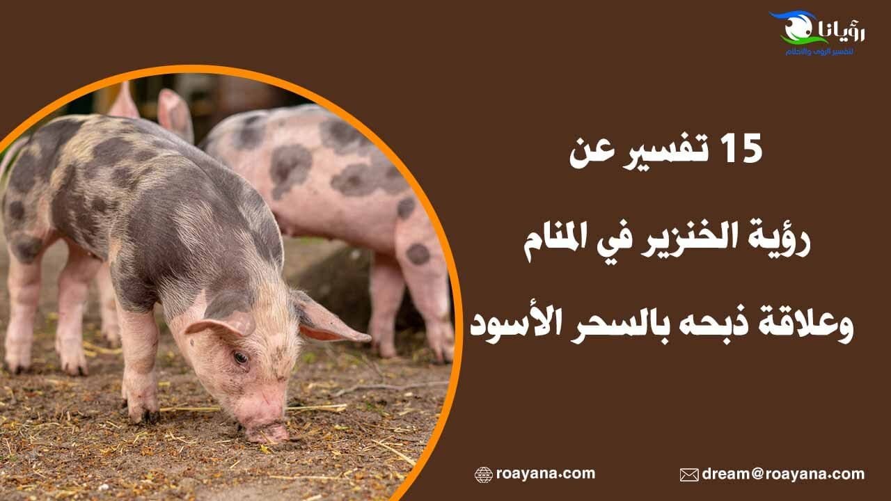 15 تفسير عن رؤية الخنزير في المنام وعلاقة ذبحه بالسحر الأسود تفسير رؤية الخنزير في المنام