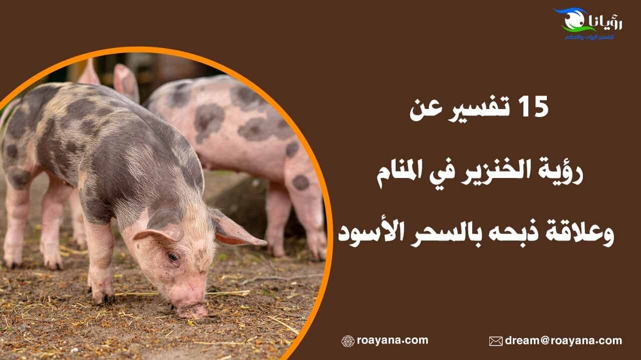 تفسير رؤية الخنزير في المنام