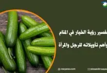 تفسير رؤية الخيار في المنام