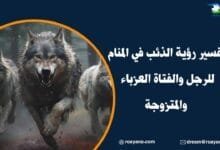 تفسير رؤية الذئب في المنام