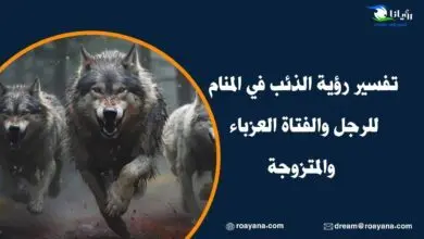 تفسير رؤية الذئب في المنام للرجل والفتاة العزباء والمتزوجة تفسير رؤية الذئب في المنام