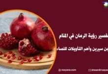 تفسير رؤية الرمان في المنام