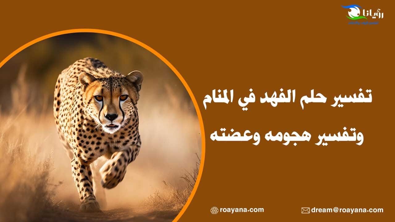 تفسير حلم الفهد في المنام وتفسير هجومه وعضته تفسير رؤية الفهد في المنام