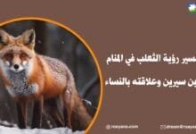 تفسير رؤية الثعلب في المنام