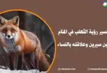 تفسير رؤية الثعلب في المنام