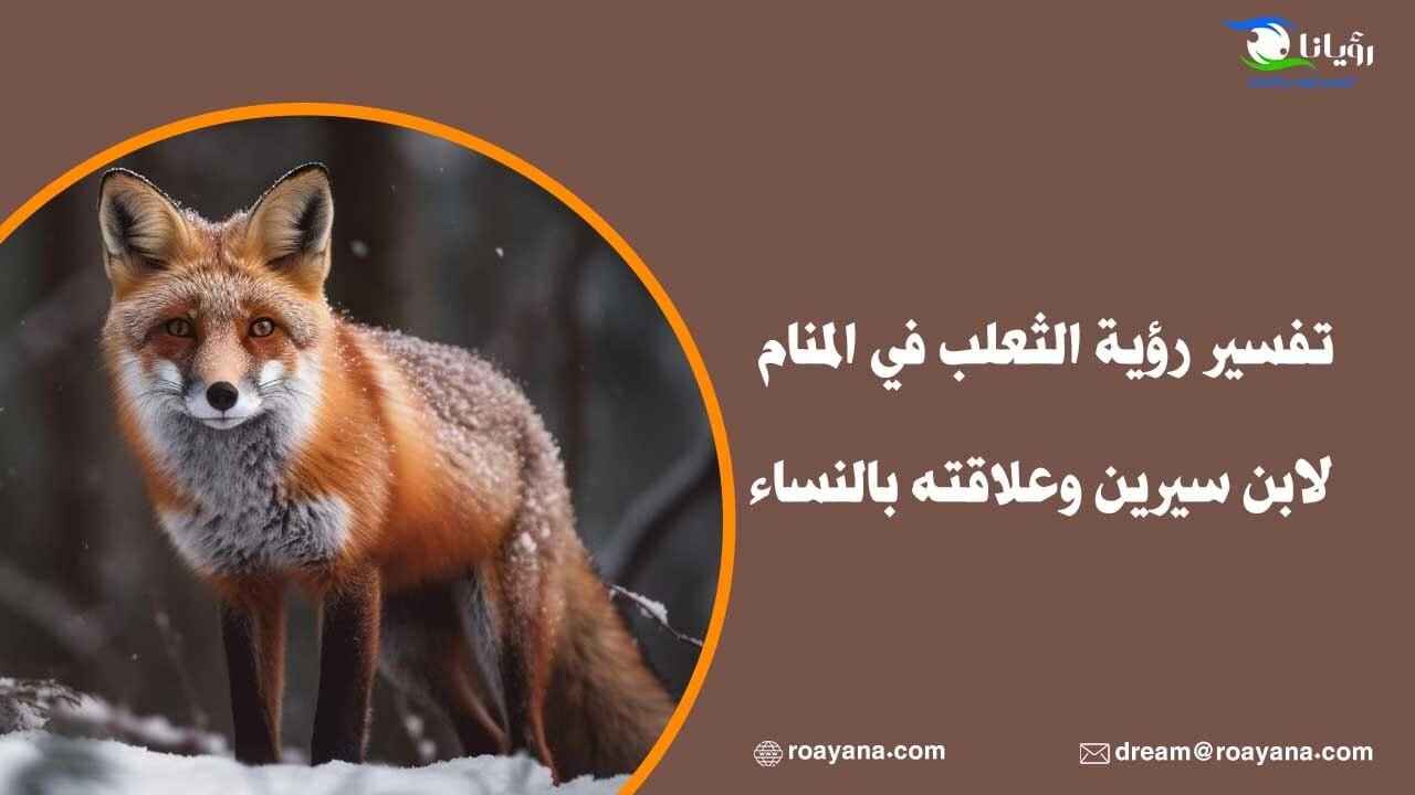 تفسير رؤية الثعلب في المنام لابن سيرين وعلاقته بالنساء تفسير رؤية الثعلب في المنام