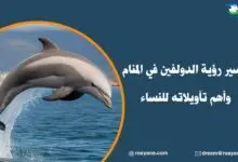 تفسير رؤية الدولفين في المنام