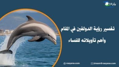 تفسير رؤية الدولفين في المنام