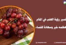 تفسير رؤية العنب في المنام