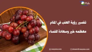 تفسير رؤية العنب في المنام معظمه خير وسعادة للنساء تفسير رؤية العنب في المنام
