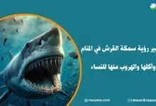 تفسير رؤية سمكة القرش في المنام وأكلها والهروب منها للنساء تفسير حلم سمكة القرش في المنام