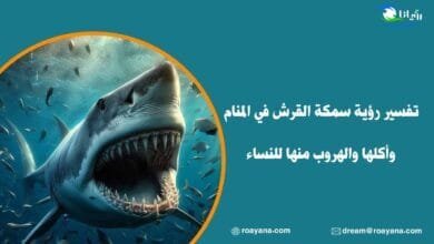 تفسير رؤية سمكة القرش في المنام وأكلها والهروب منها للنساء تفسير حلم سمكة القرش في المنام